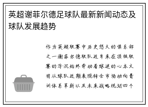 英超谢菲尔德足球队最新新闻动态及球队发展趋势